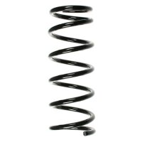 Fahrwerksfeder-Set hinten Schraubenfeder 302mm SPIDAN...