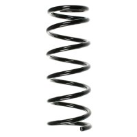 Suspension spring set rear coil spring 302mm SPIDAN for...