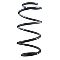 Fahrwerksfeder-Set SPIDAN für FIAT 500 C