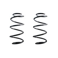 Suspension spring set Replacement Fit SPIDAN for FIAT 500 C