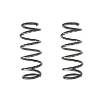 Suspension spring set rear coil spring 325mm SPIDAN for...