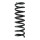 Suspension spring set Replacement Fit SPIDAN for MERCEDES C KLASSE W202