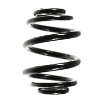 Fahrwerksfedern-Set Spiralfeder SPIDAN für u.a. AUDI...