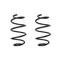 Suspension spring set front coil spring 307mm SPIDAN for...