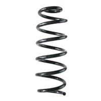 Fahrwerksfeder-Set hinten Schraubenfeder 303mm SPIDAN...