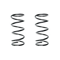 Fahrwerksfedern-Set vorne Schraubenfeder 405mm SPIDAN...