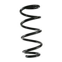 Fahrwerksfeder-Set vorne Schraubenfeder 289mm SPIDAN...