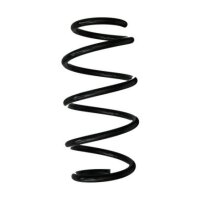 Fahrwerksfeder-Set vorne Schraubenfeder 310mm SPIDAN...