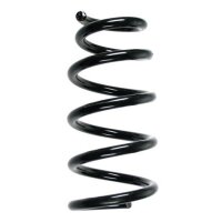 Fahrwerksfeder-Set hinten Schraubenfeder 265mm SPIDAN...