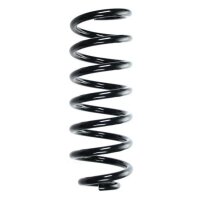 Fahrwerksfeder-Set hinten Schraubenfeder 324mm SPIDAN...