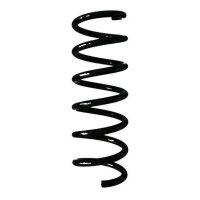 Fahrwerksfeder-Set hinten Schraubenfeder 347mm SPIDAN...