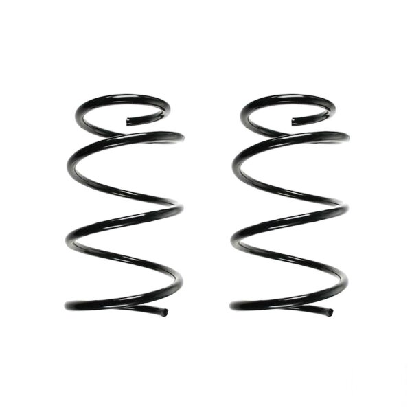 Fahrwerksfeder-Set SPIDAN für NISSAN MURANO I