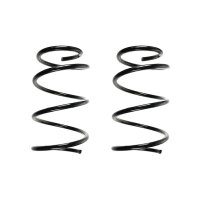 Fahrwerksfeder-Set SPIDAN für NISSAN MURANO I