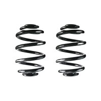 Fahrwerksfedern-Set Spiralfeder SPIDAN für u.a. BMW...