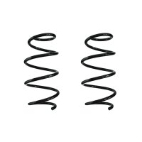 Suspension spring set front coil spring 317mm SPIDAN for...