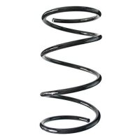 Fahrwerksfeder-Set vorne Schraubenfeder 323mm SPIDAN...