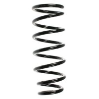Fahrwerksfeder-Set hinten Schraubenfeder 306mm SPIDAN...