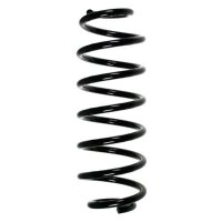 Fahrwerksfeder-Set hinten Schraubenfeder 323mm SPIDAN...