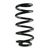 Fahrwerksfeder-Set hinten Schraubenfeder 256mm SPIDAN...