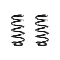 Suspension spring set rear coil spring 256mm SPIDAN for...