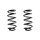 Fahrwerksfeder-Set hinten Schraubenfeder 256mm SPIDAN für MINI MINI COUNTRYMAN