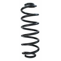 Fahrwerksfeder-Set hinten Schraubenfeder 359mm SPIDAN...