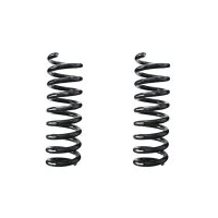 Fahrwerksfeder-Set hinten Schraubenfeder 317mm SPIDAN...