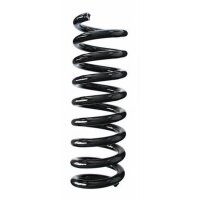 Fahrwerksfeder-Set hinten Schraubenfeder 317mm SPIDAN...
