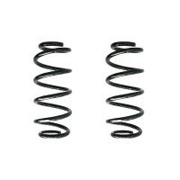 Fahrwerksfeder-Set vorne Schraubenfeder 313mm SPIDAN...