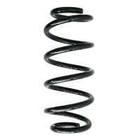 Fahrwerksfeder-Set vorne Schraubenfeder 313mm SPIDAN...