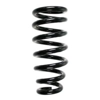 Fahrwerksfeder-Set vorne Schraubenfeder 312mm SPIDAN...