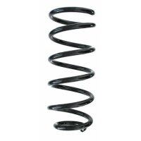 Fahrwerksfeder-Set hinten Schraubenfeder 255mm SPIDAN...