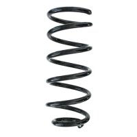 Suspension spring set rear coil spring 255mm SPIDAN for...