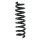 Fahrwerksfeder-Set hinten Schraubenfeder 340mm SPIDAN für BMW 3 Cabriolet