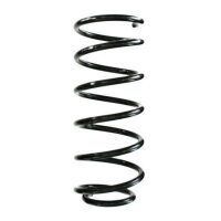 Fahrwerksfeder-Set hinten Schraubenfeder 312mm SPIDAN...