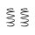 Fahrwerksfeder-Set vorne Schraubenfeder 274mm SPIDAN für VW GOLF VII