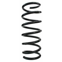 Fahrwerksfeder-Set hinten Schraubenfeder 373mm SPIDAN...