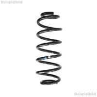 Fahrwerksfeder-Set hinten Schraubenfeder 356mm SPIDAN...