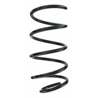 Fahrwerksfeder-Set vorne Schraubenfeder 304mm SPIDAN...