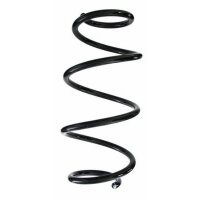 Fahrwerksfeder-Set hinten Schraubenfeder 326mm SPIDAN...