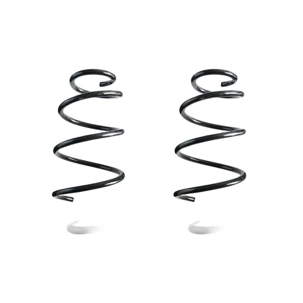 Fahrwerksfedern-Set vorne Schraubenfeder 359mm SPIDAN für u.a. PEUGEOT PARTNER