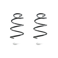 Fahrwerksfedern-Set vorne Schraubenfeder 359mm SPIDAN...