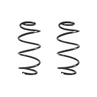 Fahrwerksfeder-Set vorne Schraubenfeder 309mm SPIDAN...