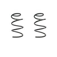 Fahrwerksfeder-Set vorne Schraubenfeder 314mm SPIDAN...