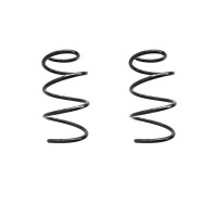 Fahrwerksfedern-Set vorne Schraubenfeder 314mm SPIDAN...