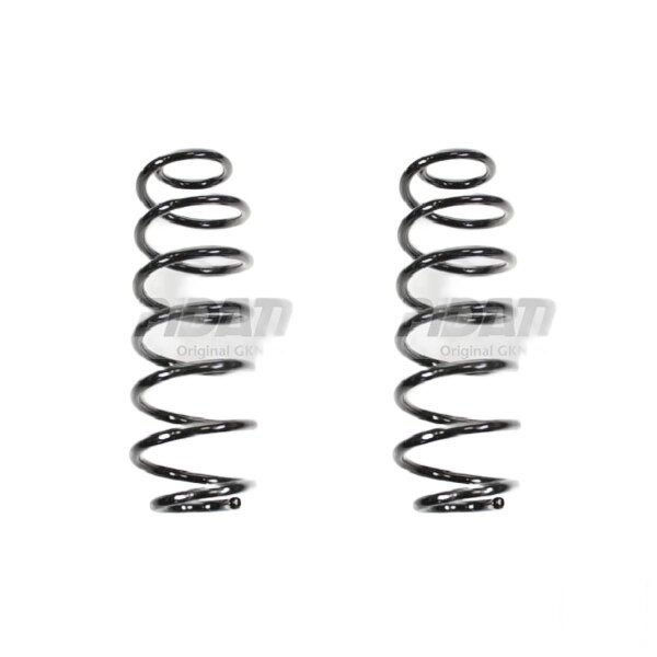 Suspension spring set rear coil spring 300mm SPIDAN for FORD FIESTA VI