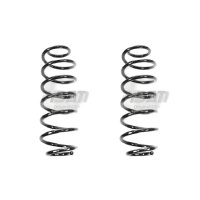 Fahrwerksfeder-Set hinten Schraubenfeder 300mm SPIDAN...
