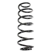 Fahrwerksfedern-Set hinten Schraubenfeder 300mm SPIDAN...