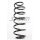 Fahrwerksfeder-Set hinten Schraubenfeder 300mm SPIDAN für FORD FIESTA VI