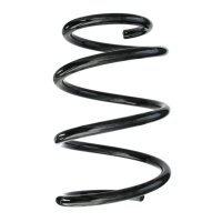 Suspension spring set rear coil spring 244mm SPIDAN for...